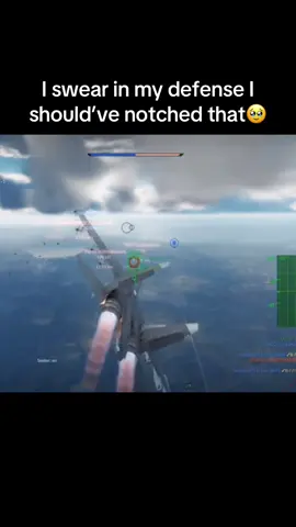 chaff works when it wants to I guess. #warthunder #warthunderaviation #warthundertiktok #clanker #su30 
