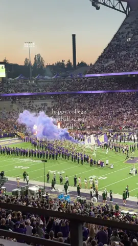 Go sports!  #washington #football #college #sportstiktok #sahm 