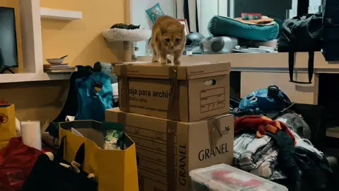 “Dudas” #poesia #escritora #literatura #poemas #escritos 