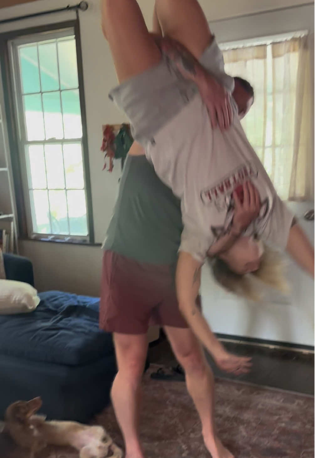 adult zoomies #upsidedown #paperplanes #weinerdog #giggle #zoomies 