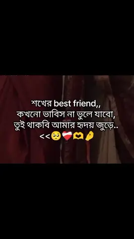 শখের best friend,, কখনো ভাবিস না ভুলে যাবো, তুই থাকবি আমার হৃদয় জুড়ে.. <<🥺❤️‍🩹🫶🤌@Fatrma farha mim  #best_friend_lover_me✨🌸 #100kviews #foryoupage #viraltiktok #foryou 