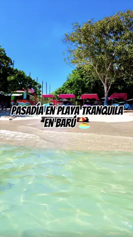 Pasadía en playa tranquila, en Cartagena de Indias 🏖️ #playatranquila #baru #cartagenadeindias🇨🇴 #tours 