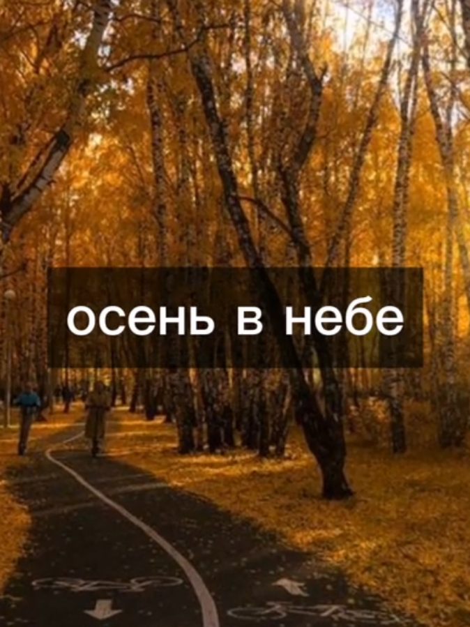 оп, еще одна песенка •| Ддт - что такое осень
