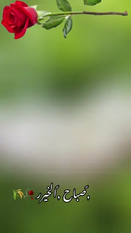 ‏اللهم آمين يا رب العالمين ‏اسعد الله صباحكم بكل خير وسعادة وعافية وتوفيق ورضا وسرور وفرح من رب العالمين