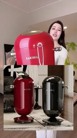 Thùng Rác Có Nắp Lật, Thiết Kế Sáng Tạo 