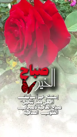 #صباحكم_أحلى_صباح🌹🌹 