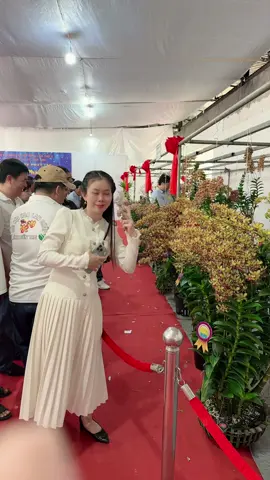 Hôm nay e tham dự hội thi cần thơ #suhuongtiktok #hoalandep #nongnghiep #hoalan 