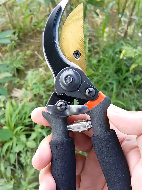 Gunting Dahan SK5 Gunting Dahan Ranting Pohon Buah Bercabang Tebal Gunting Tanaman Kebun #guntingtanaman #guntingdahan #guntingdahanranting 