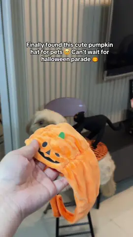 cutie halloween pumpkin hat 🎃 #halloweenhat 