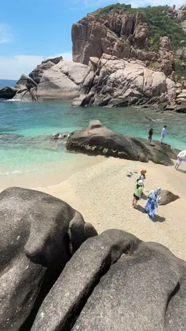 Cập Nhật tình hình hòn rùa 31/8 hôm nay xinh xẻo quá mn ơi 🤗🤗🏖️🏖️🏖️🐢🐢🐢👙👙👙🌊🌊🌊#xuhuong #tourcano #vịnhvĩnhhy #honrua #viral 