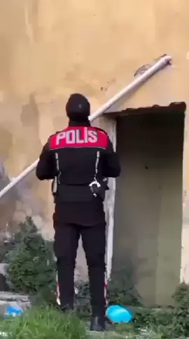 çete mafya kabadayı ağa vız gelir adamı sikerler #polis #kesfet #keşfet #turkey #police 
