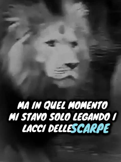 MA IN QUEL MOMENTO MI STAVO SOLO LEGANDO I LACCI DELLE SCARPE 