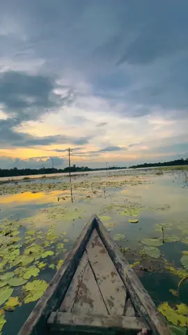 নিয়ে যাবে..?  #foruyou #viraltiktok #trending #weather #naruto 