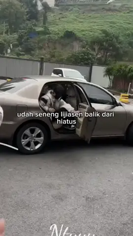 antara senang dan sedih❤️‍🩹 aku masih ga percaya plis kalau yiheng bakal hiatus, tapi jangan lama-lama hiatusnya aku dan tf stand lainnya bisa kangen, soal rumor yg beredar itu lupain aja kamu fokus pada diri mu sendiri sja. jaga kesehatan mu dan jangan lupakan kami para tf stand selalu mendukung mu dalam situasi apapun🤍#chenyiheng_陈奕恒 #TfFamily #fyppppppppppppppppppppppp #fyppppppp #fypシ 
