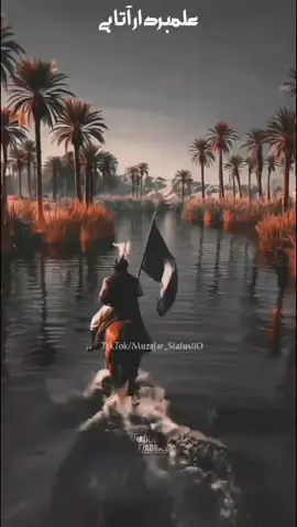 𝒂𝒍𝒊 𝒎𝒐𝒍𝒂 