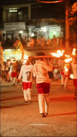 Grace, tradition, and devotion in motion — Kotte Sri Dalada Perahera, a proud symbol of Sri Lanka’s sacred heritage 🤍🙏 @Kotte Rajamaha Viharaya  Commercial Reposts not allowed without permission🖐🚫 Sharing always welcome and appreciate🙏 #ceylonbeauty #srilankan_tik_tok🇱🇰 #srilankan_tik_tok🇱🇰 #traval #visitsrilanka
