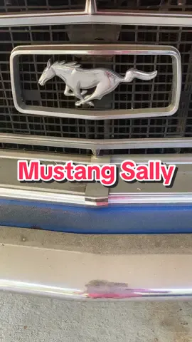 #mustang #1965 #1965mustang #fordmustang #cartiktok 