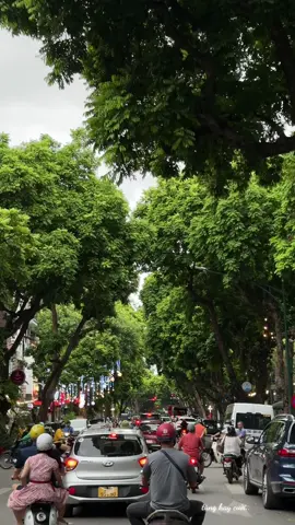 Hà Nội mùa này thật đẹp, nếu có em bên cạnh thì sẽ đẹp hơn nhiều .. #hanoi #thuhanoi 