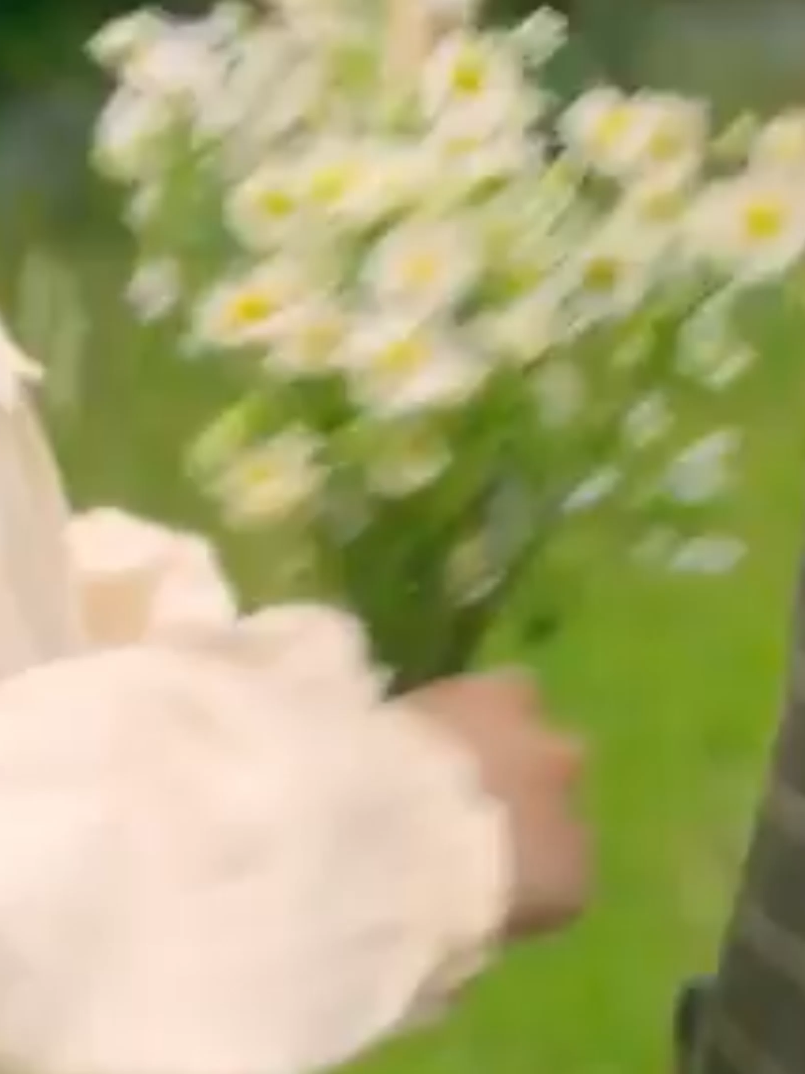 chuyện tình tóc rối p1#xuhuongtiktokk #reviewphim #phimngontinhhanquoc #trending