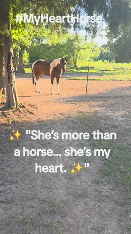 Just a small clip, but she’s everything to me. Envy isn’t just beautiful—she’s special in every way. 💕🐴  #HeartHorse #EnvyTheHorse #HorseTok #BeautifulHorse #EquestrianLife 
