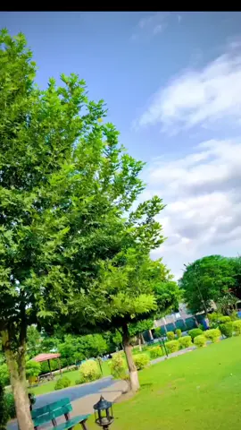 Allah per barosa ho  #viralvideo #foryou  #foryoupage #diolgue  @✷𝐁𝐞𝐥𝐥𝐮✷🔵 @Shaban ullah313 @Abdullah Afridi 👑 @Shoaib Khan @Pakistan @Azizshan Bangash @🐷Floresita Alvarez🐷 @ASIM🥊 اورگزیی 👑 @ASIM BãLõçH ♥️♥️ @Abdullah Khan @Abdullah🦅🦅🦅🦅🦅 @Abdul Wali @bewafa 💔 