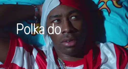 Garden Shed- #tylerthecreator #estelle #flowerboy #cherrybomb #fyp this song has been stuck on my head all day 