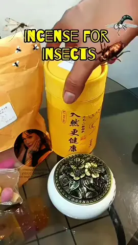 NATURAL COIL INCENSE FOR MOSQUITO ✨ #mosquitoprevention #mosquitorepellant #coil #incense #tiktokfinds 