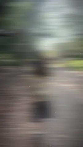 မင်းနဲ့တို့ဇာတ်လမ်း ဟောင်းနွမ်းသွားတော့လဲ😣##fypシ゚viral🖤tiktok☆♡ ##မတင်တာကြာတော့‌မေ့နေ‌ရောပေါ့😬#tiktokviral ##ဒီအချိန်တင်တော့viewကောတက်ပါ့မလား😞😟 