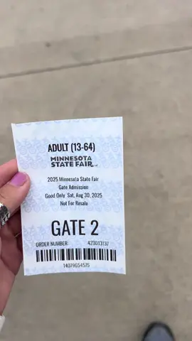 🎆  #mnstatefair #minnesota  #saturdayvibes #fireworks #event 