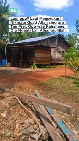 cuma kuli kelapa doank kok 😁 #fyp #kelapa #kampung #nature #kuli 