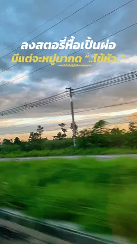 ฮาไข้ไห้ #แคปชั่นไม่รู้อู้เมืองแน่นอน #แคปชั่นเมียงๆ #ยืมลงสตอรี่ได้ #ฟีดดดシ 