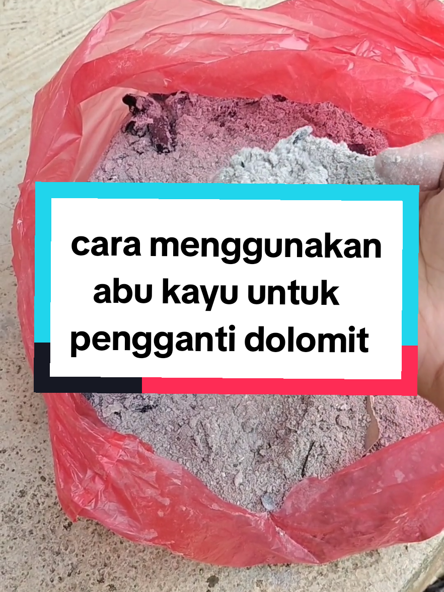 Cara menggunakan abu kayu Bakaran untuk pengganti kapur dolomit ✅  #fyp #dolomites #kebunmini #berkebun #abu 