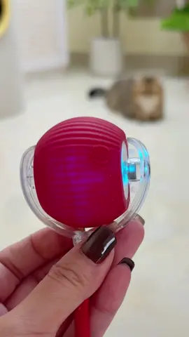 #brinquedos #pet #cachorro #gato 