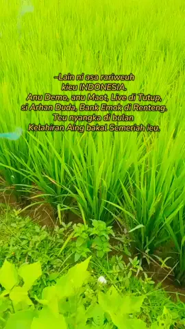 Hatur Nuhun Ah🙏 #demo #dpr #seputarindonesia #katakatabijak #fyppppppppppppppppppppppp 