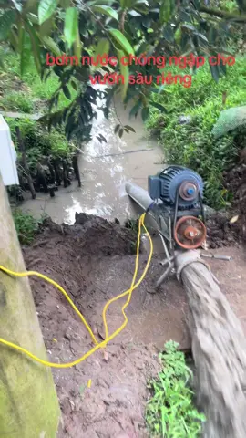 bơm nước chống ngập cho vườn sầu riêng