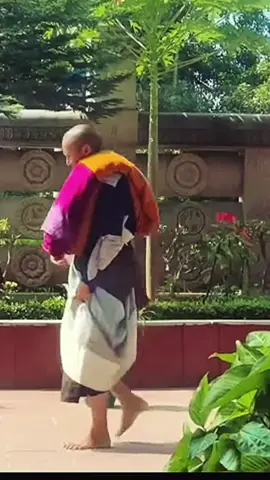 Thầy Minh Tuệ 31/8. #thayminhtuemoinhat #thayminhtue #thichminhtue #tinco369 