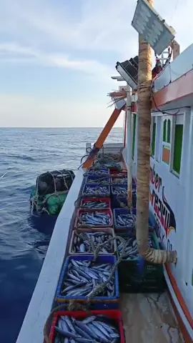 alhamdulillah full 1 palka#kmn_sumber_resky_01 #lautdalamfyp💯🚣🛥️🇮🇩🇮🇩⚓ #pypdongggggggg #