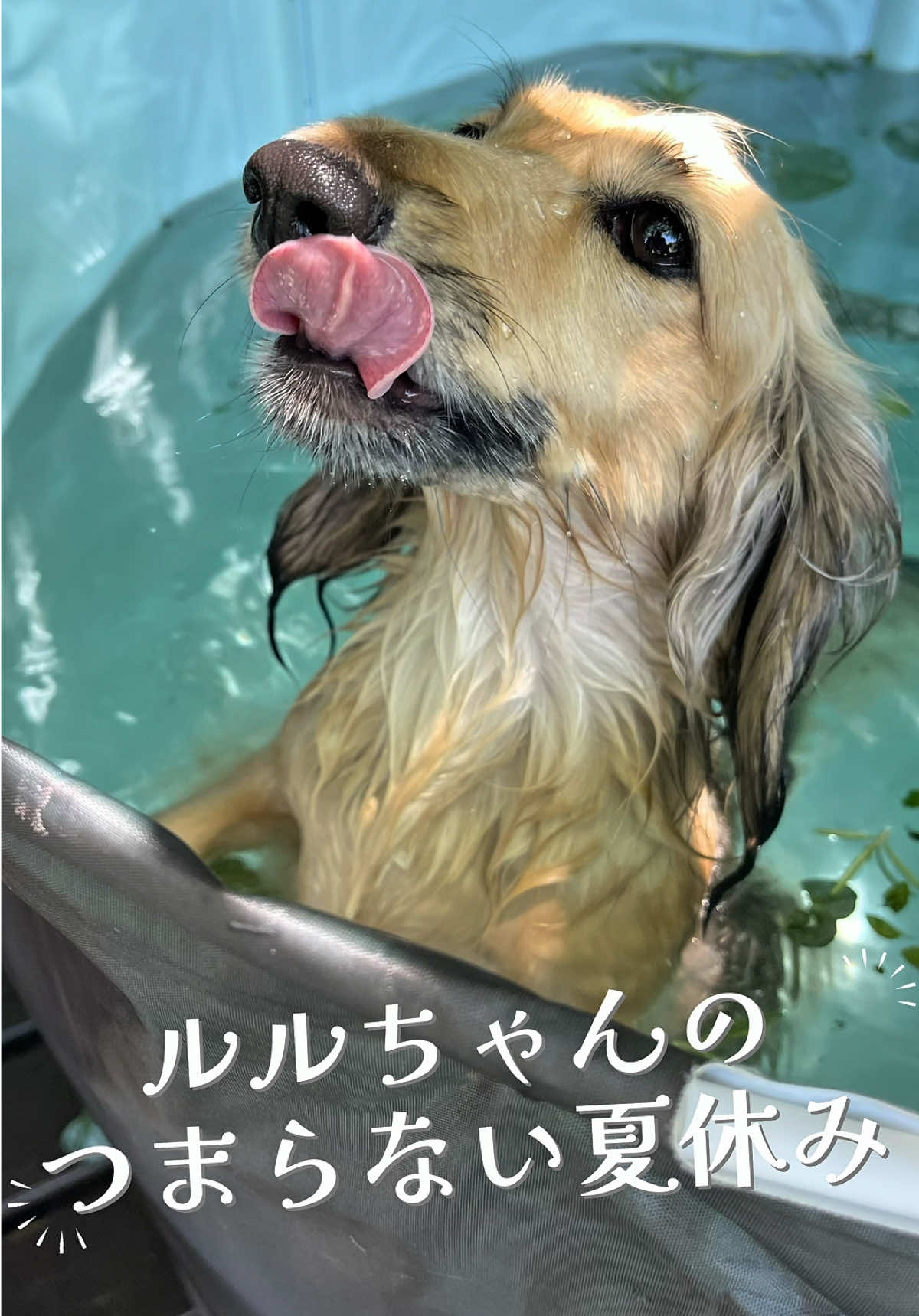 #夏休み #自宅プール 