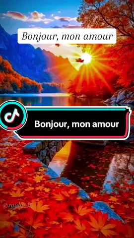 Bonjour, mon amour 😍  #ParolesDuCœur #DeclarationDamour #MonAmour #roidas45 