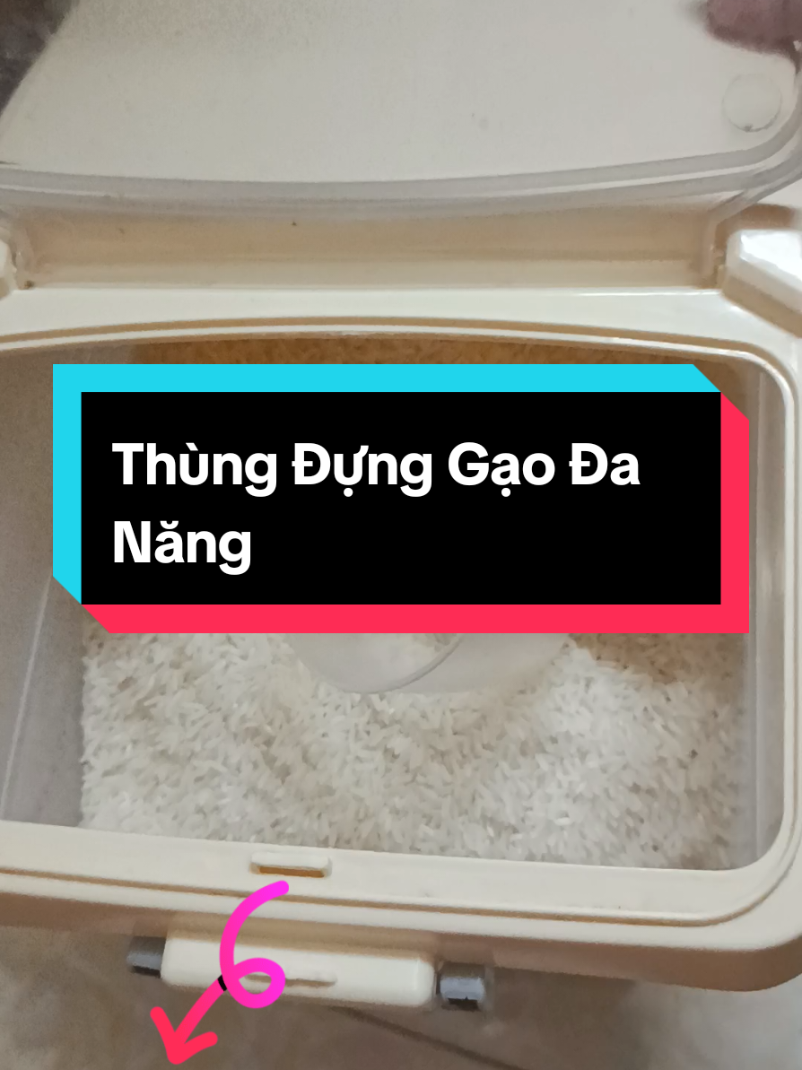 Thùng Đựng Gạo 15ky 20ky Có Nắp Đậy Chống côn trùng. Chống Ẩm. Hộp Đựng Gạo. Ngủ Cốc. Đồ Khô Bằng Nhựa Cao Cấp #thungdunggao #giadungtienich #giamgia #capcut #xuhuong @Diễmm Myy Bùi @Diễmm Myy Bùi @Diễmm Myy Bùi 