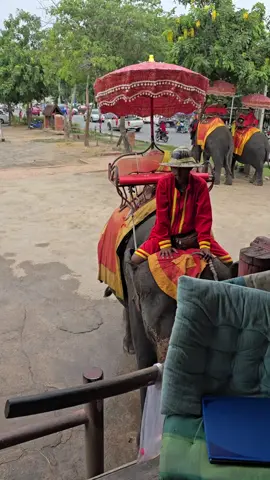 🐘🐘#วังช้างอยุธยาแลเพนียด 