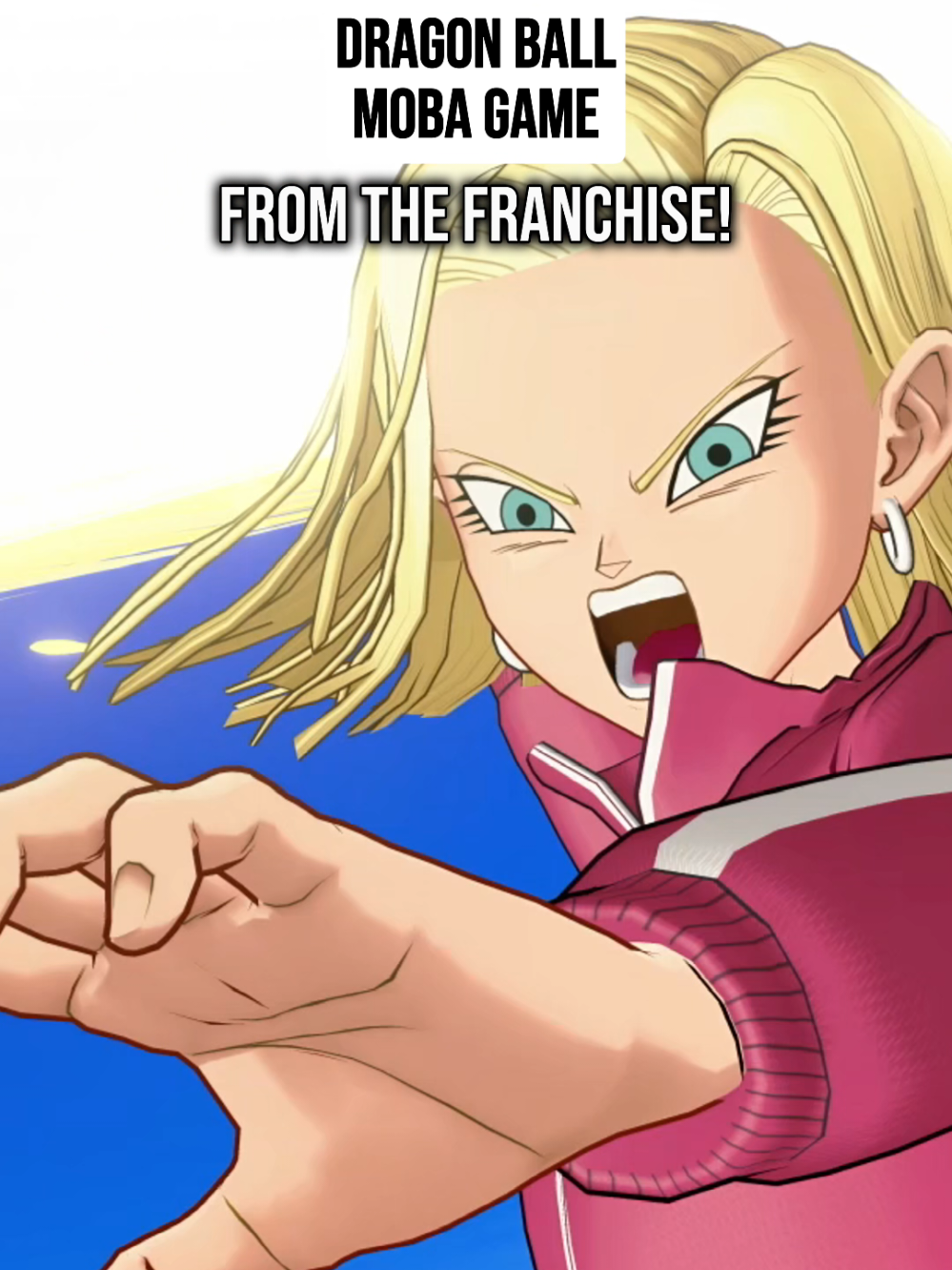 The Newest Dragon Ball's 4vs4 Team Battle Game 