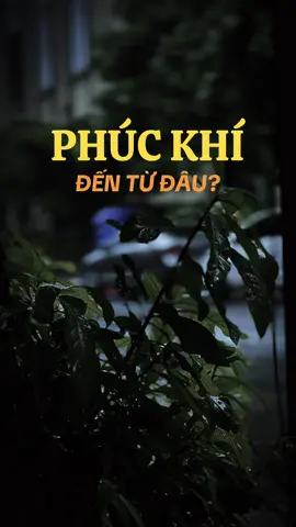 🪷☘️Phúc khí đến từ đâu?#ngộđểan #phatphapnhiemmau #viralvideo #viralvideo #fyp 