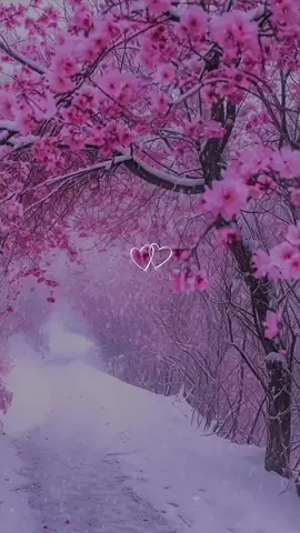 #جمال_المنظر😍🫠🌨#اجنل_لأغاني_تركيه😍😊#روعه____جميل🌹_ذوق_🌹تصميمي🎼 #تصميم_فيديوهات🎶🎤🎬 #تصميمي❤️ #