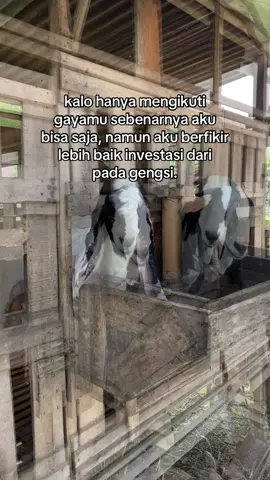 #fypage #peternakmuda #juraganmuda 