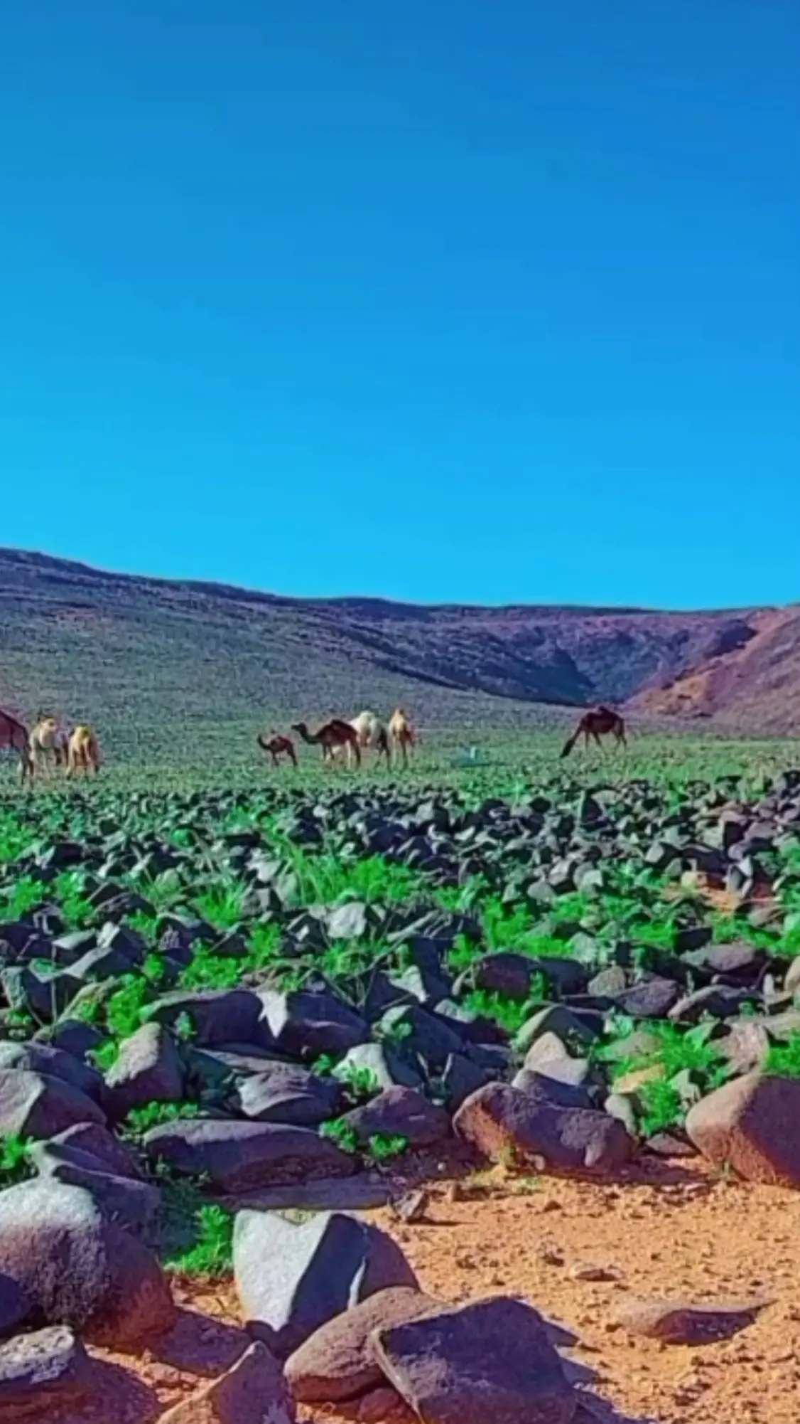 #قمرنجد #اكسبلور 