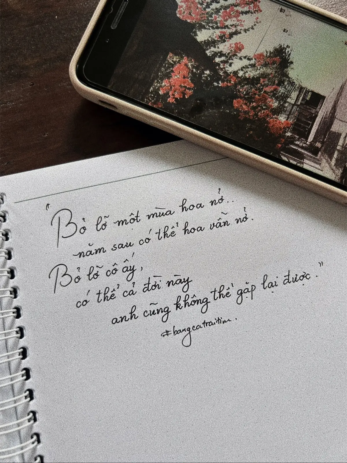 #bangcatraitim #quotes #chuviettay #nhachaymoingay #caption 