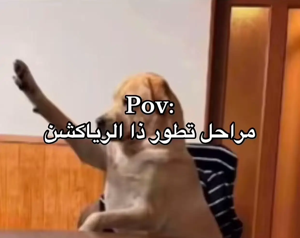 حق الضحك 😂😂#axplor #رياكشن #السعودية #الشعب_الصيني_ماله_حل😂😂 #مالي_خلق_احط_هاشتاقات🧢 