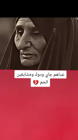 غداهم جاي ودوك ومشايفين الحم 💔😮#تصميم_فيديوهات🎶🎤🎬 #اكسبلورexplore #fyp #fouryou #CapCutVelocity 