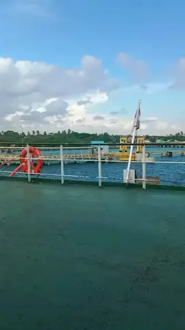 #CapCut waktunya pulang .. 